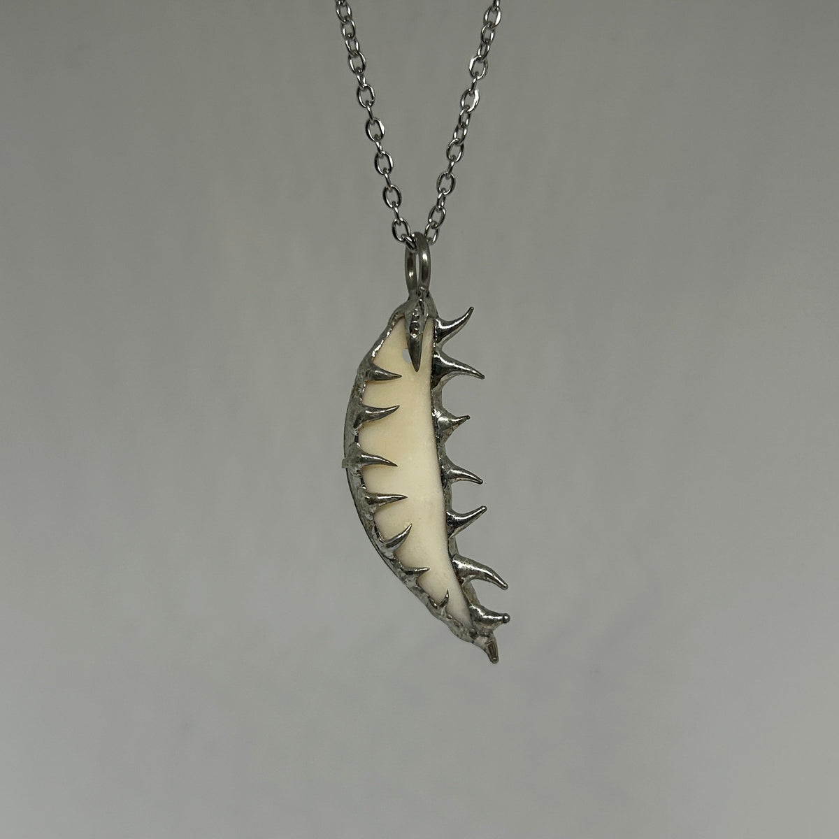 Coyote Tooth Spiky  Stainless Steel Soft Soldered Necklace