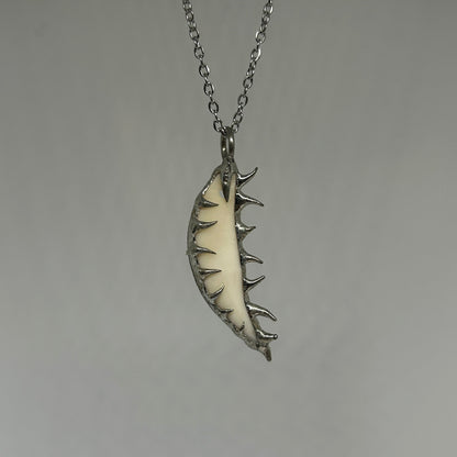 Coyote Tooth Spiky  Stainless Steel Soft Soldered Necklace